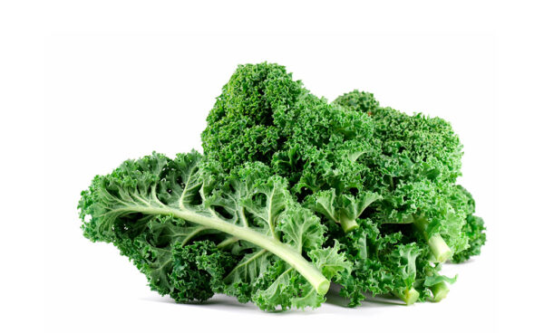 TF Kale, Curly