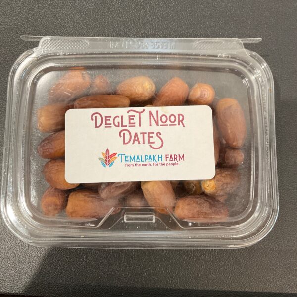 TF Deglet Noor