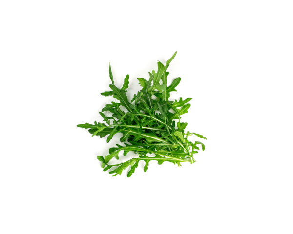 Baby Arugula Wild 16 oz.