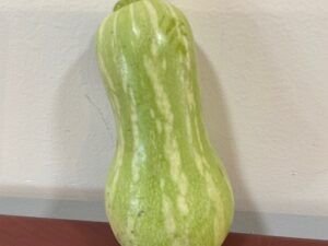 Baby Butternut squash