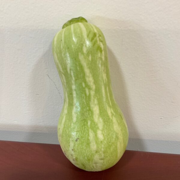 Baby Butternut squash