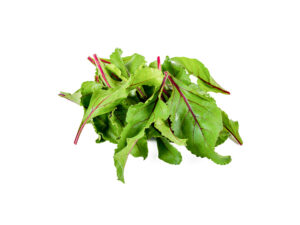 TF Chard, Red
