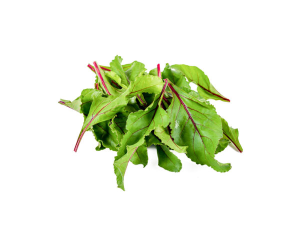 TF Chard, Red