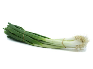TF Green Onion