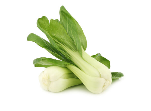 TF Bok Choy