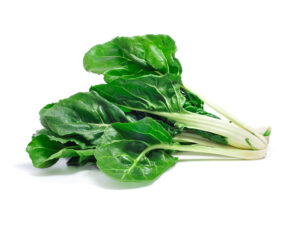 TF Chard, Rainbow