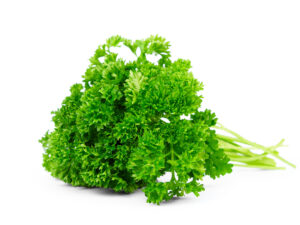 TF Parsley Curly