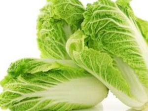TF Napa Cabbage