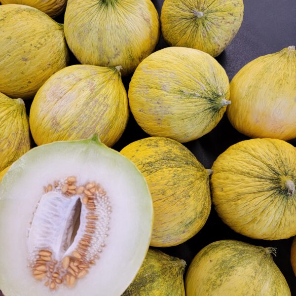 Casaba Melon
