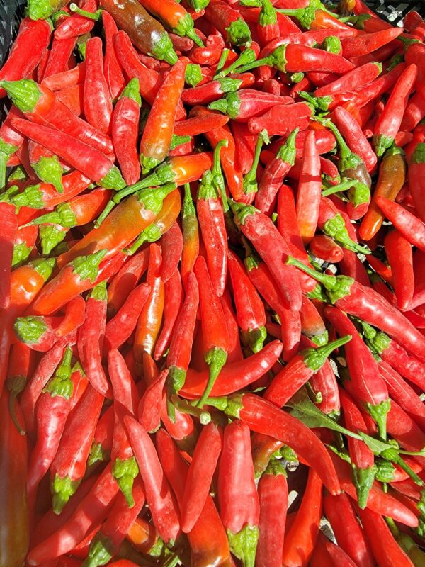 TF Cayenne Pepper Bag
